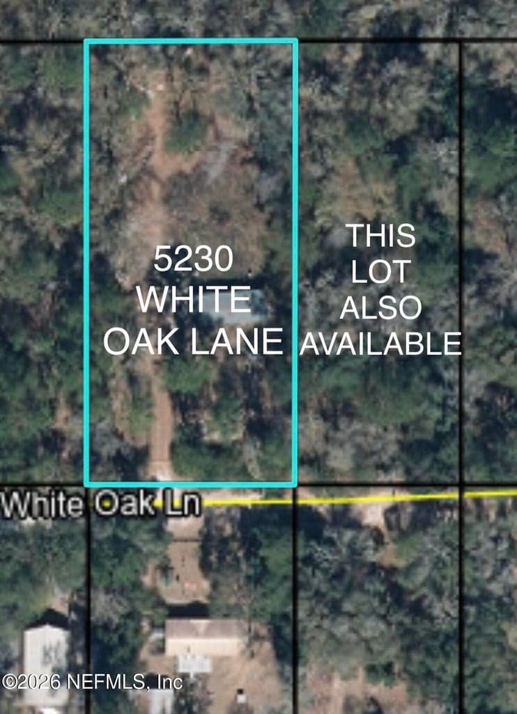5230 WHITE OAK Lane, Middleburg, FL 32068