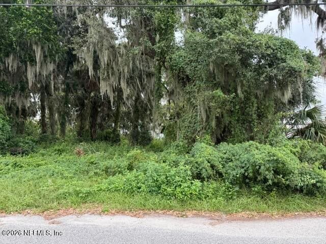 000 MULHOLLAND PARK, Palatka, FL 32177, Palatka, FL - photo 2