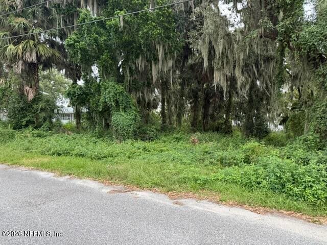 000 MULHOLLAND PARK, Palatka, FL 32177, Palatka, FL - photo 3