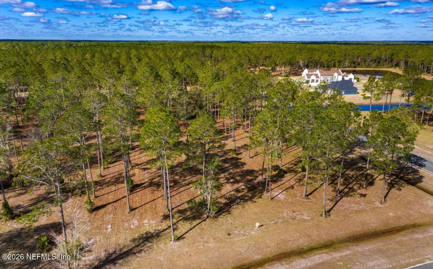 11038 PADDINGTON Way, Jacksonville, FL 32219
