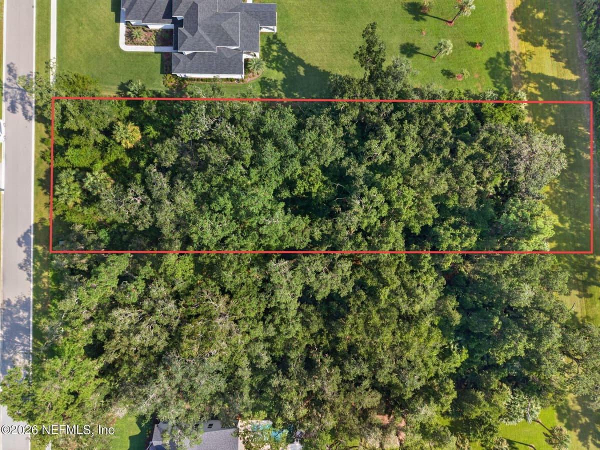 208 CANOPY HALL Drive, St. Augustine, FL 32095, St. Augustine, FL - photo 3