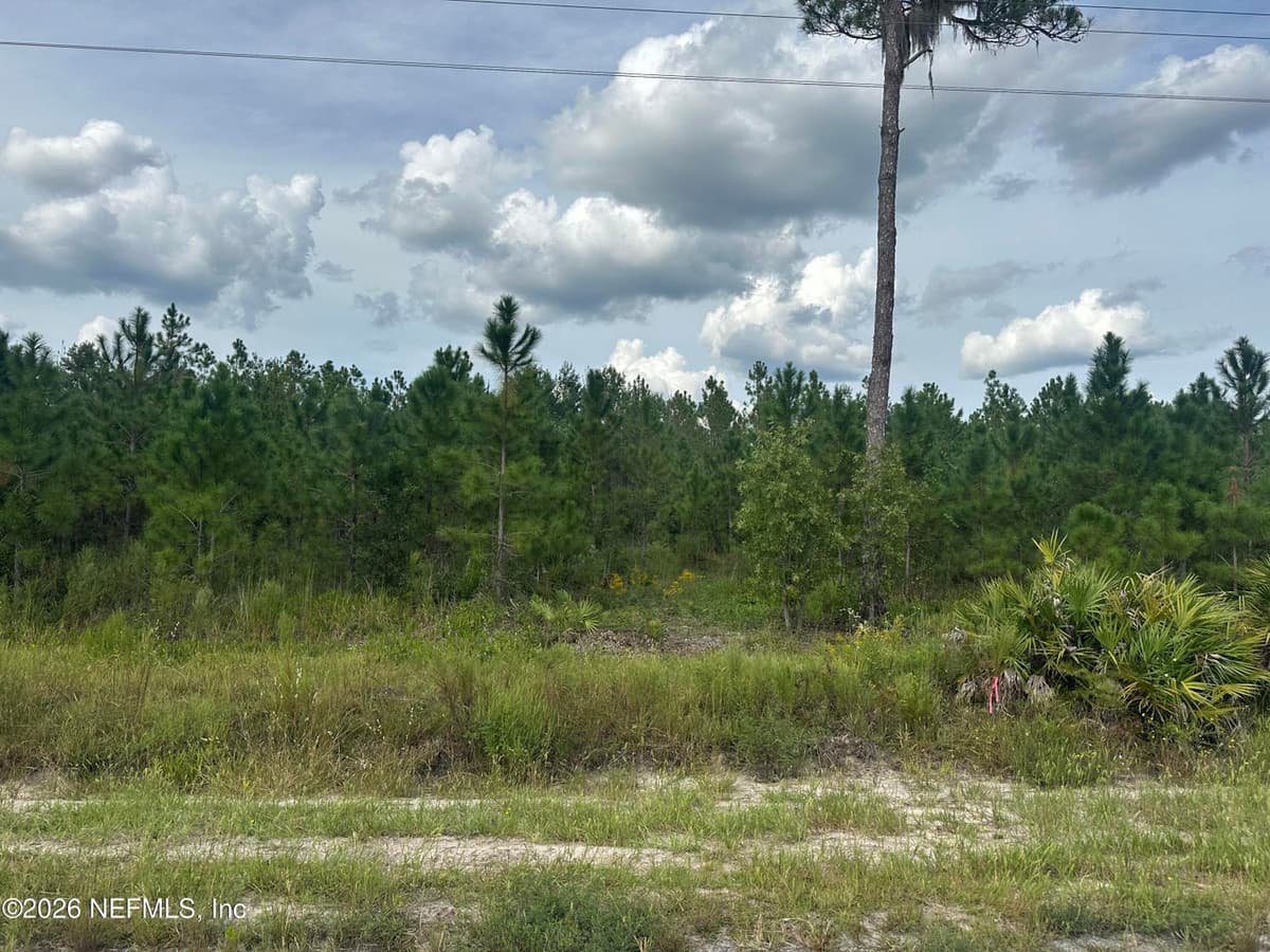LOT 17 E HILLSBOROUGH Avenue, Florahome, FL 32140, Florahome, FL - photo 2