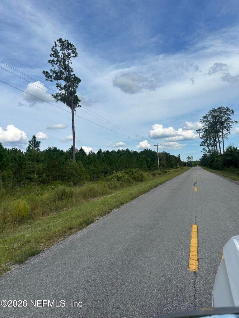 LOT 17 E HILLSBOROUGH Avenue, Florahome, FL 32140, Florahome, FL - photo 3
