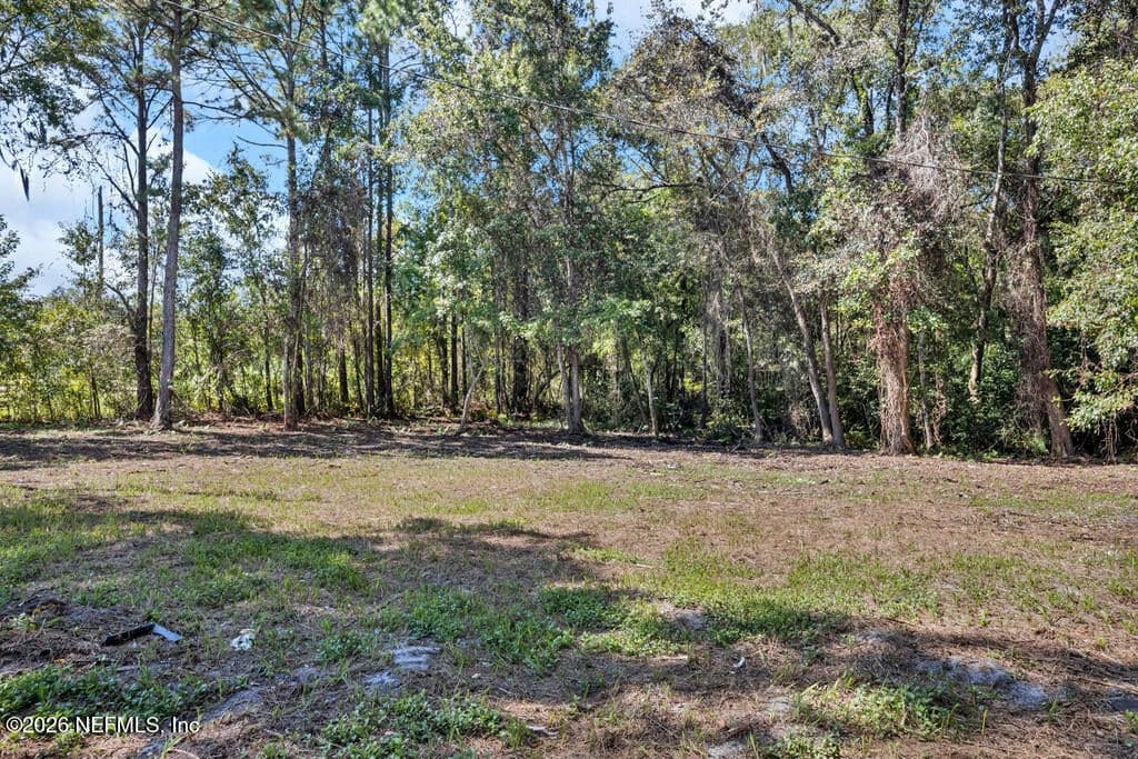 35 ORCHID Avenue, Middleburg, FL 32068, Middleburg, FL - photo 2