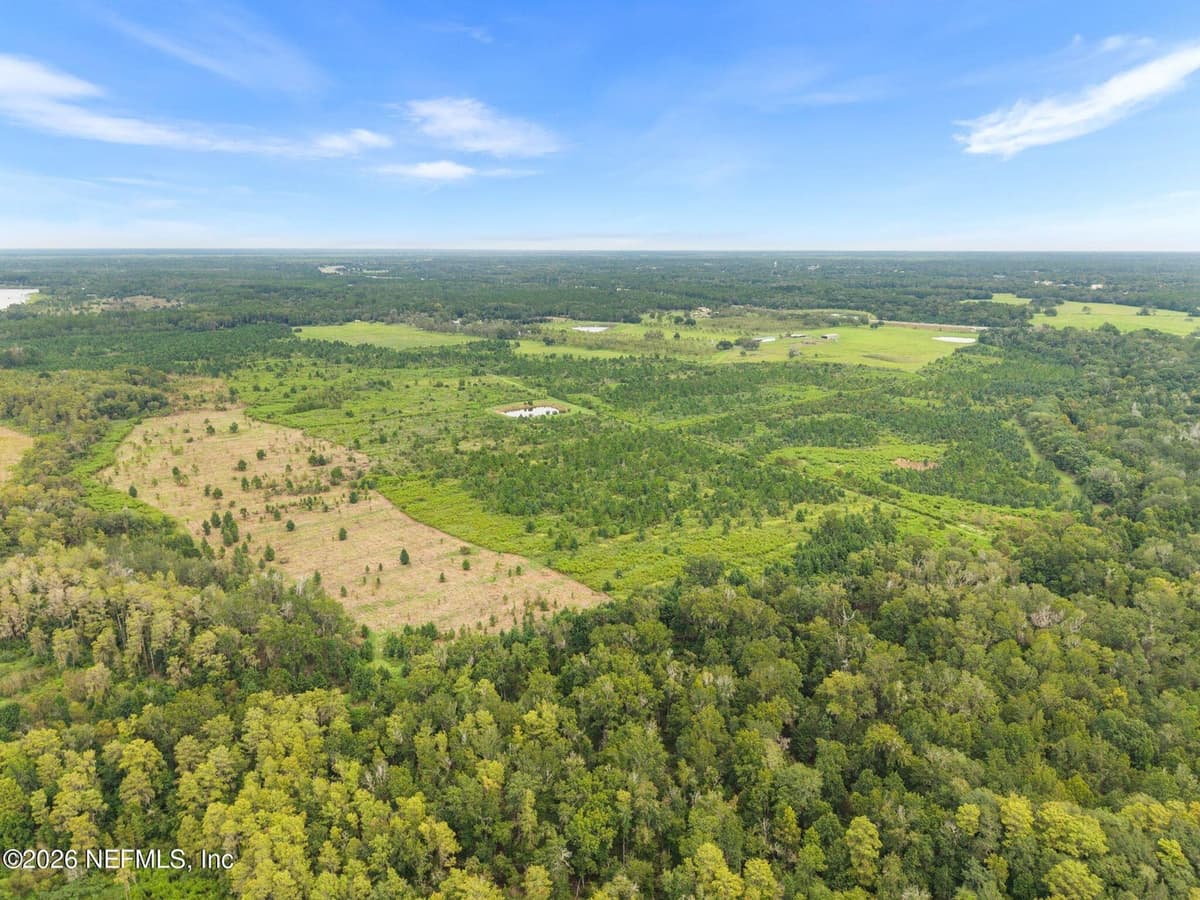 000 SW COUNTY ROAD 100A, Starke, FL 32091, Starke, FL - photo 2