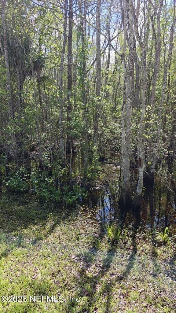 0 THOMPSON BAILEY Road, St. Augustine, FL 32084, St. Augustine, FL - photo 3
