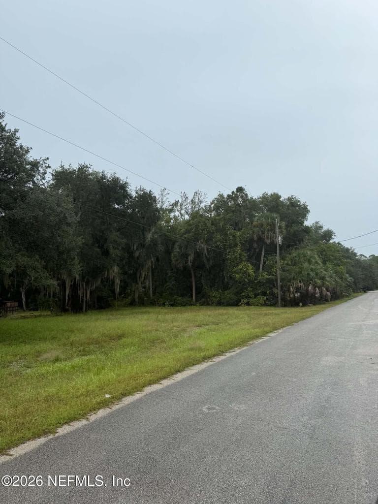 112 ORANGE TREE Road, East Palatka, FL 32131, East Palatka, FL - photo 3