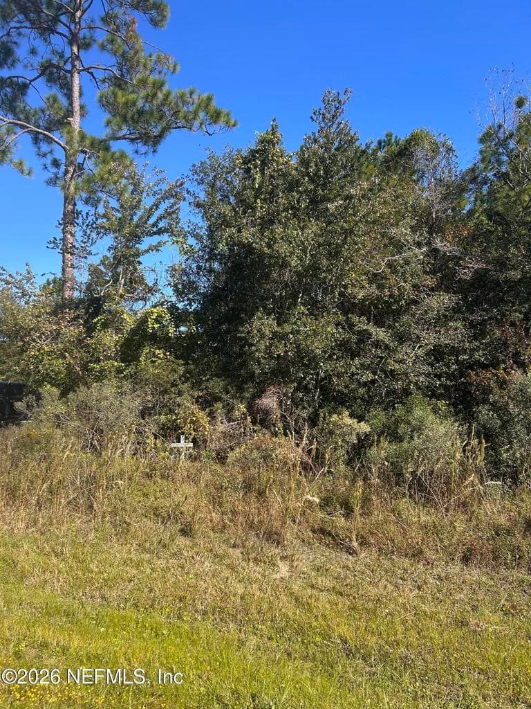 0 U.S. 301, Lawtey, FL 32058, Lawtey, FL - photo 2