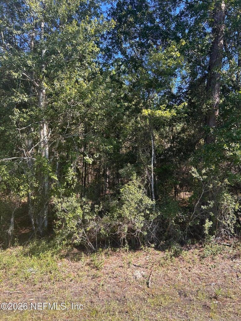 0 U.S. 301, Lawtey, FL 32058, Lawtey, FL - photo 3