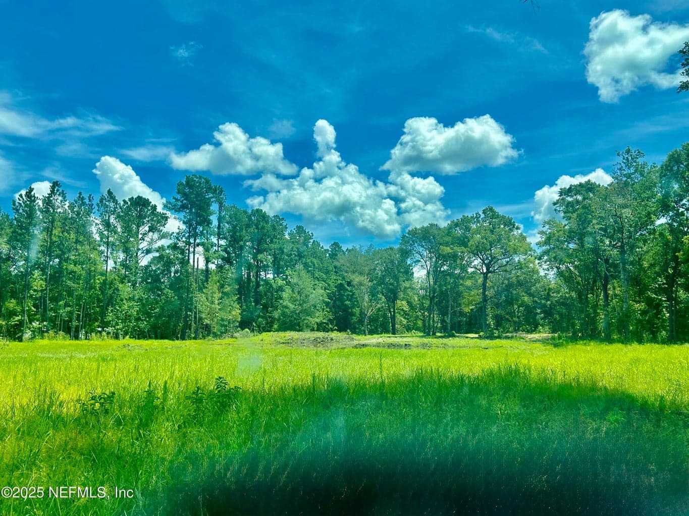0 WILBUR JONES Road, Callahan, FL 32011, Callahan, FL - photo 1