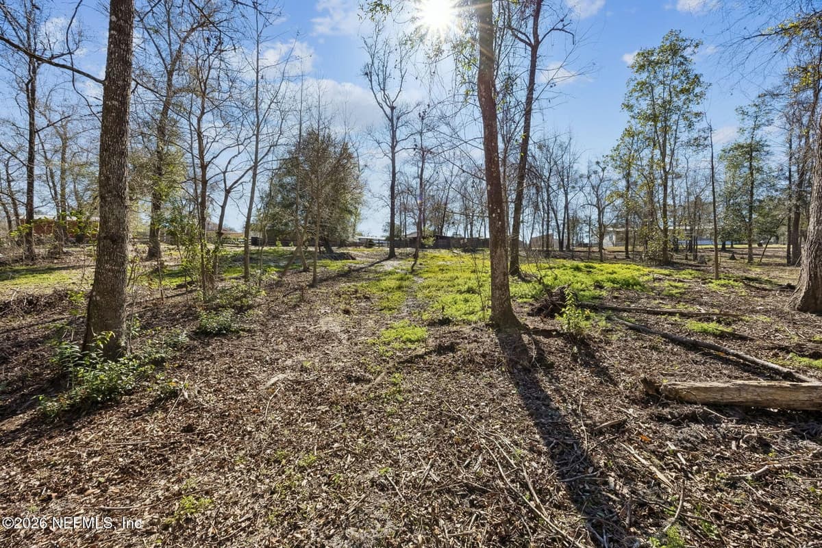 4564 CRAZY HORSE Avenue B, Middleburg, FL 32068, Middleburg, FL - photo 2