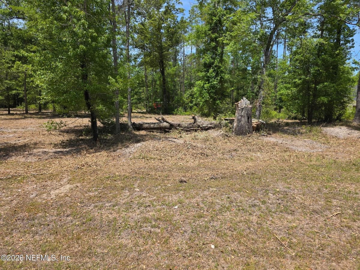 15433 BULLOCK BLUFF Road, Bryceville, FL 32009, Bryceville, FL - photo 2