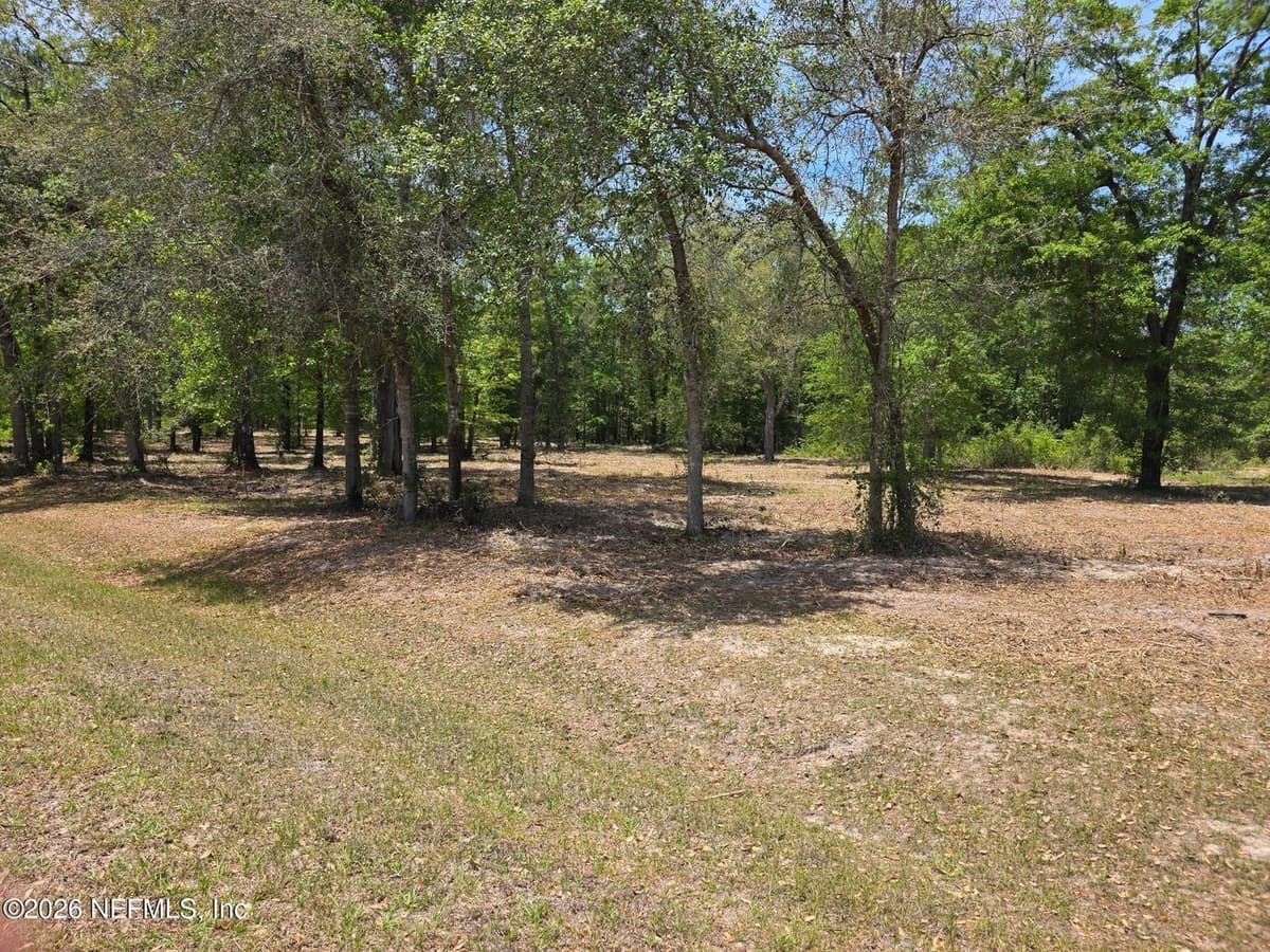 15433 BULLOCK BLUFF Road, Bryceville, FL 32009, Bryceville, FL - photo 3