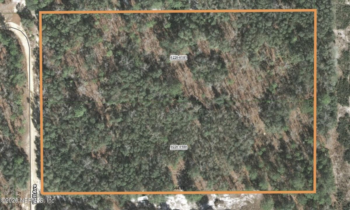 110 WITT Avenue, Hollister, FL 32147, Hollister, FL - photo 2