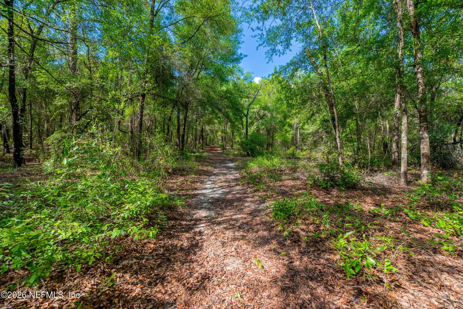 TBD LOT6/7 SE 1ST Avenue, Keystone Heights, FL 32656, Keystone Heights, FL - photo 1
