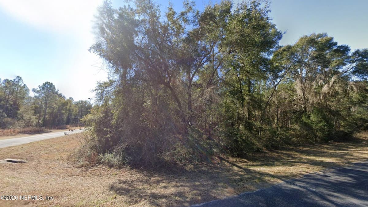 0 SW JEANLEA Place, Fort White, FL 32038, Fort White, FL - photo 3