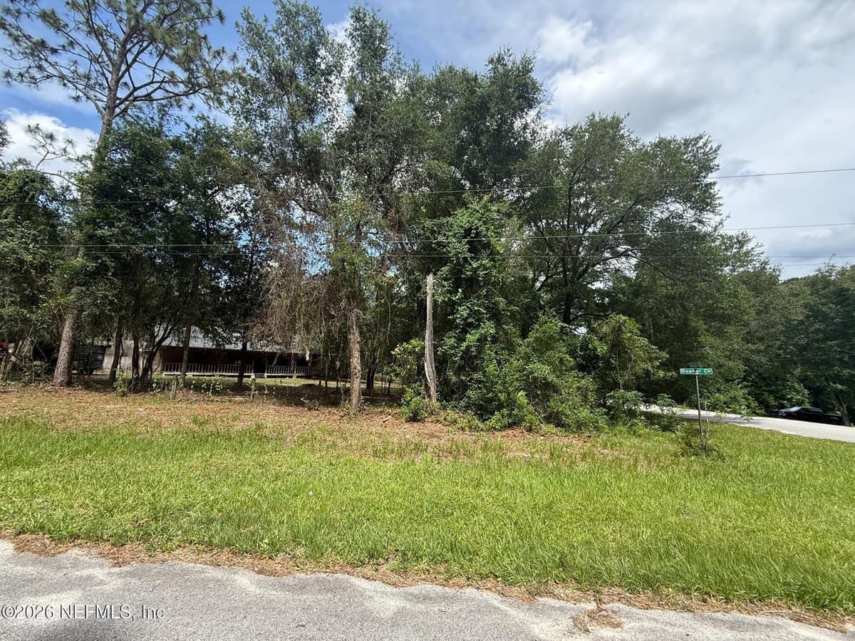 4883 GOPHER Circle, Middleburg, FL 32068, Middleburg, FL - photo 3