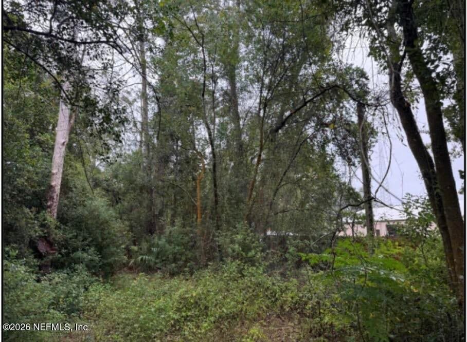 0 PERMENTO Avenue, Jacksonville, FL 32220, Jacksonville, FL - photo 1