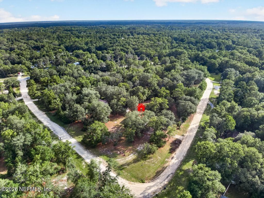 45 MINT Circle, Middleburg, FL 32068, Middleburg, FL - photo 3
