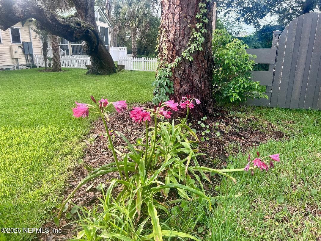 32 E PARK Avenue, St. Augustine, FL 32084, St. Augustine, FL - photo 3