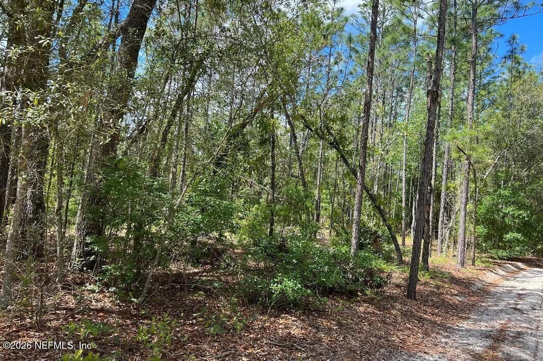 0000 LADY BUG Lane, Melrose, FL 32666, Melrose, FL - photo 2