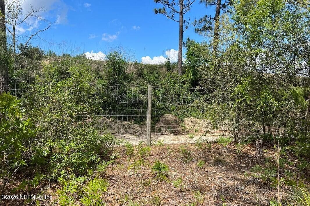 0000 LADY BUG Lane, Melrose, FL 32666, Melrose, FL - photo 3