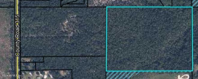 3771 COUNTY ROAD 315, Green Cove Springs, FL 32043, Green Cove Springs, FL - photo 3