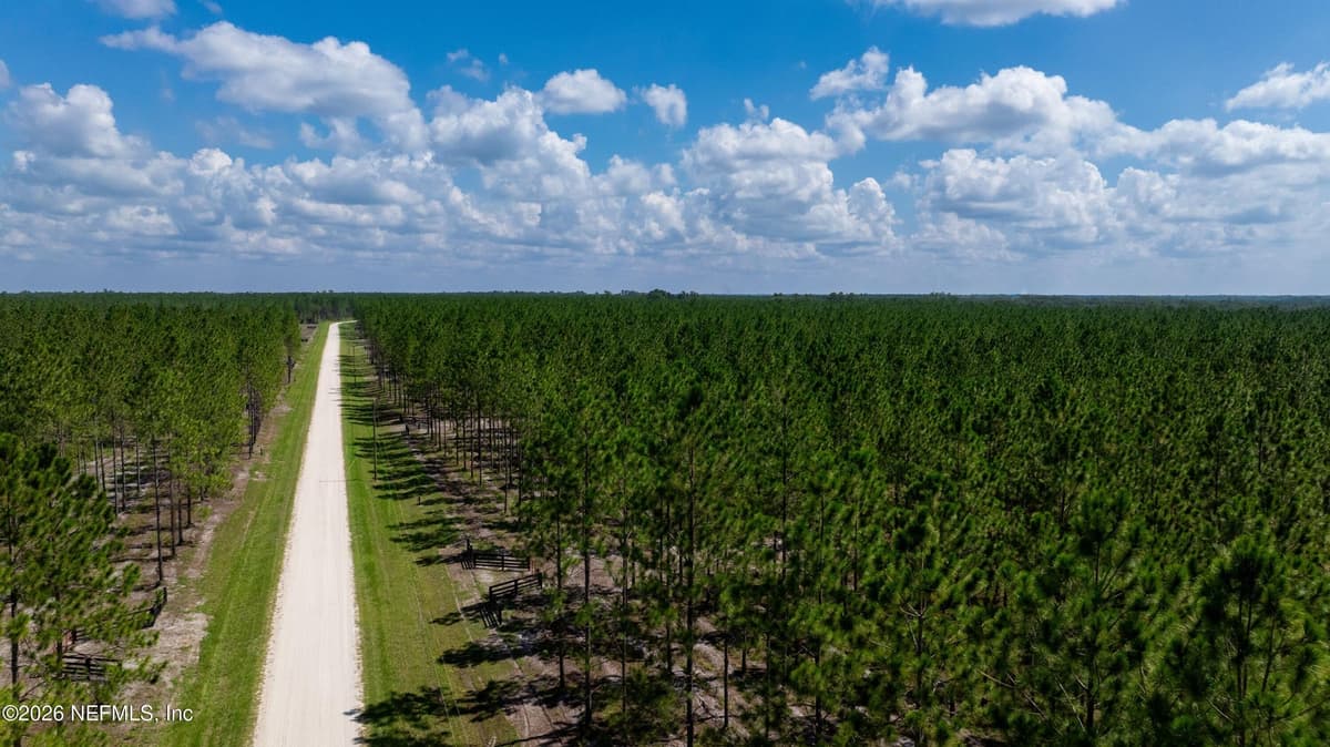 LOT 10 SE 40TH Avenue, Starke, FL 32091, Starke, FL - photo 3