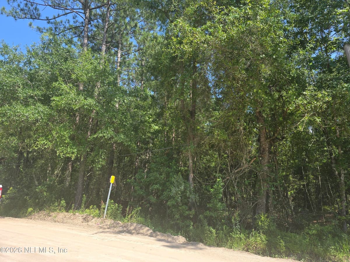 0 BISMARK Road, Callahan, FL 32011, Callahan, FL - photo 3