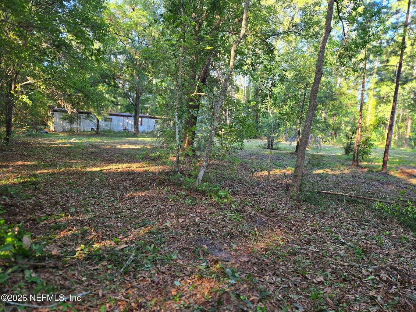 2709 KRISTI Court, Middleburg, FL 32068, Middleburg, FL - photo 1