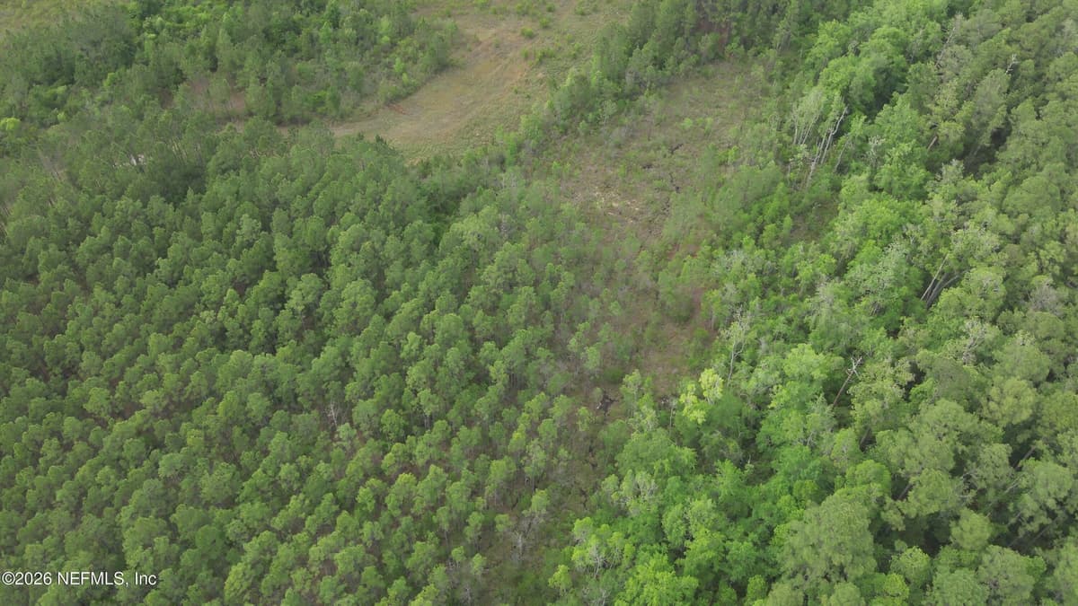 0 US HIGHWAY 301, Jacksonville, FL 32068, Jacksonville, FL - photo 2
