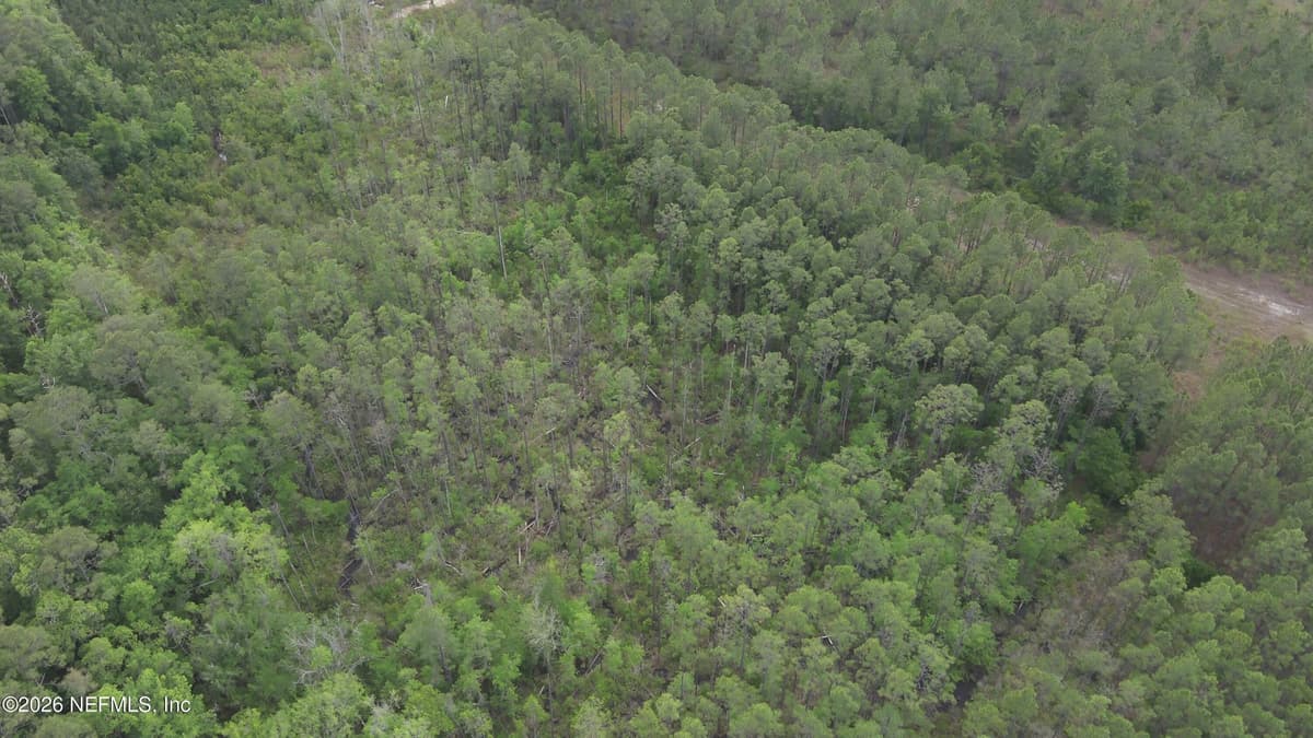 0 US HIGHWAY 301, Jacksonville, FL 32068, Jacksonville, FL - photo 3