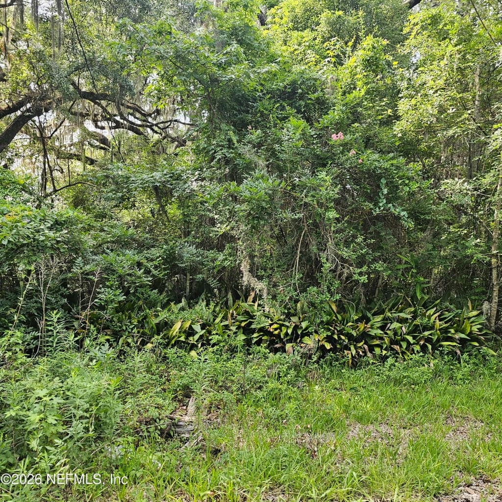 7803 CRAWFORD Street, Jacksonville, FL 32256, Jacksonville, FL - photo 2