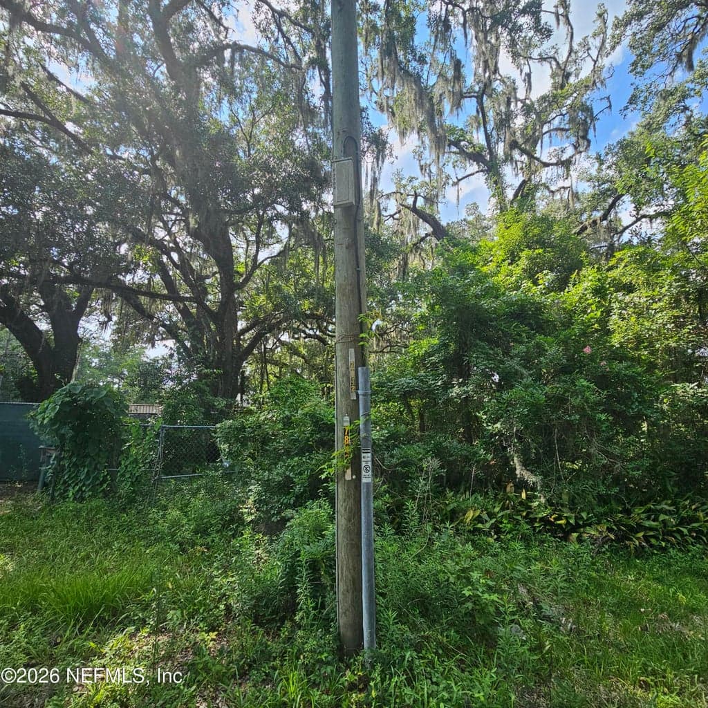 7803 CRAWFORD Street, Jacksonville, FL 32256, Jacksonville, FL - photo 3