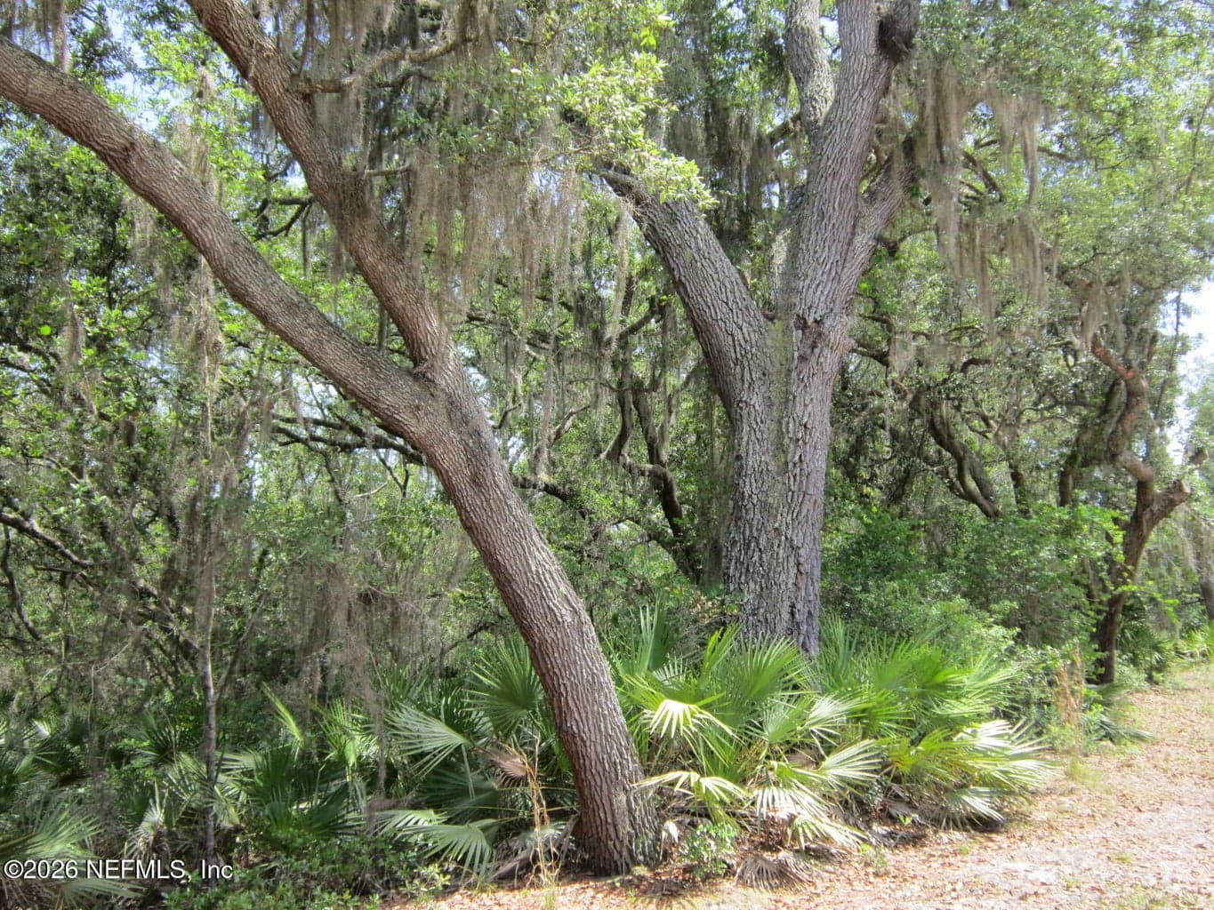 125 KIRBY Lane, Melrose, FL 32666, Melrose, FL - photo 1