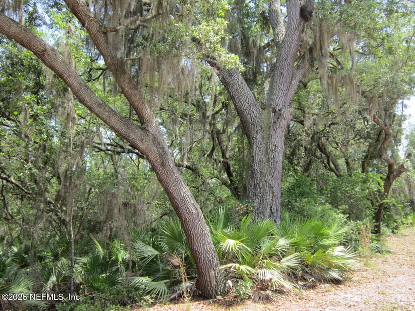 125 KIRBY Lane, Melrose, FL 32666