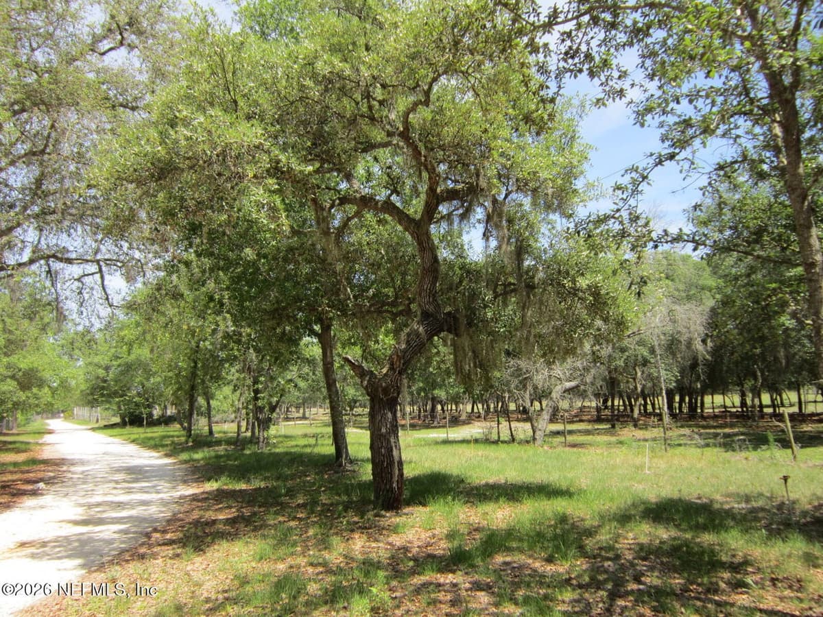 125 KIRBY Lane, Melrose, FL 32666, Melrose, FL - photo 3