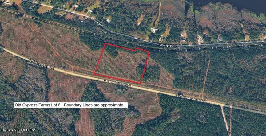 9113 SW COUNTY RD 225, Starke, FL 32091, Starke, FL - photo 2