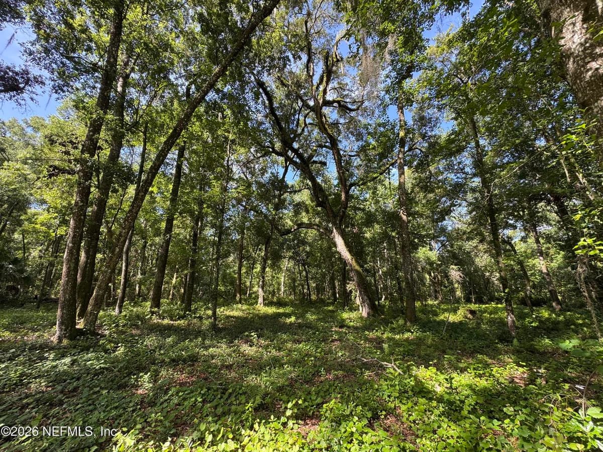 241 INDIAN LAKES FOREST Road, Florahome, FL 32140, Florahome, FL - photo 2