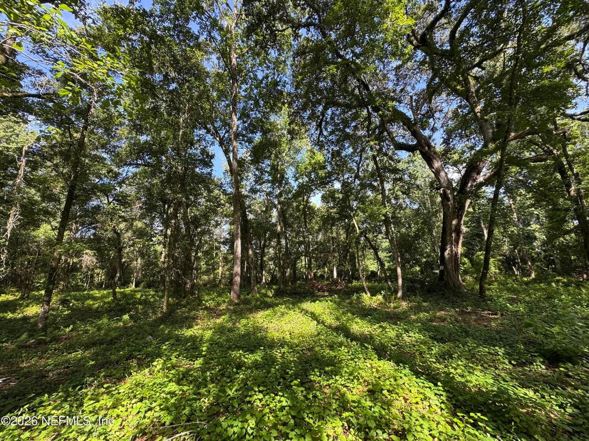 241 INDIAN LAKES FOREST Road, Florahome, FL 32140, Florahome, FL - photo 3