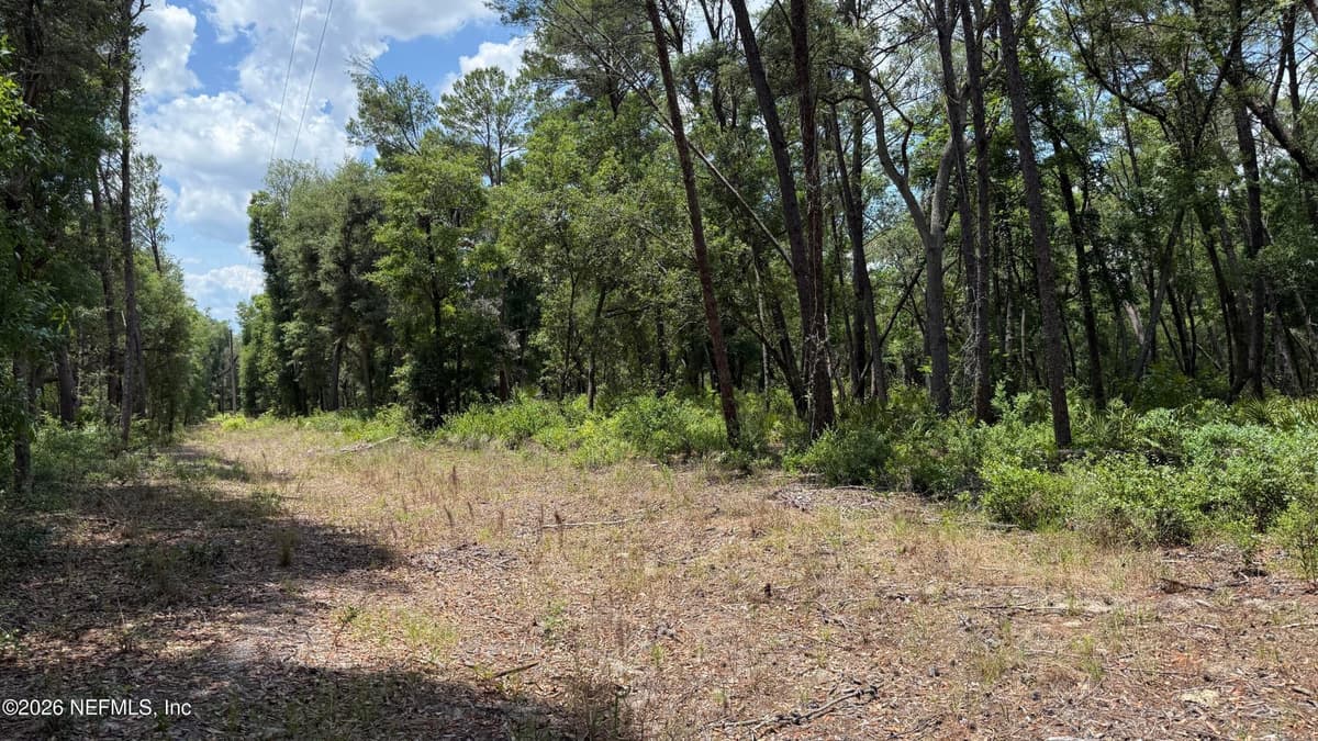 960 STATE ROAD 100, Florahome, FL 32140, Florahome, FL - photo 2