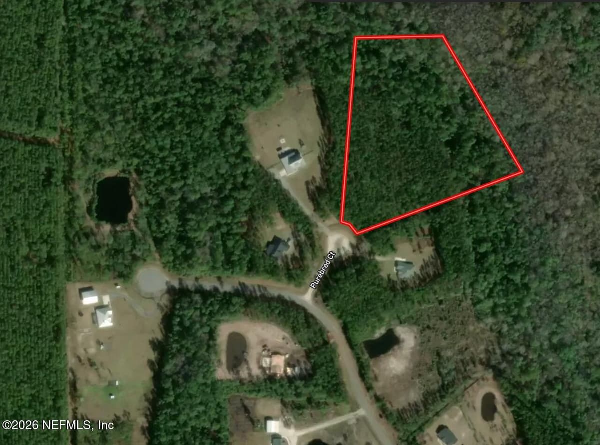 36014 PUREBREAD Court, Callahan, FL 32011, Callahan, FL - photo 3