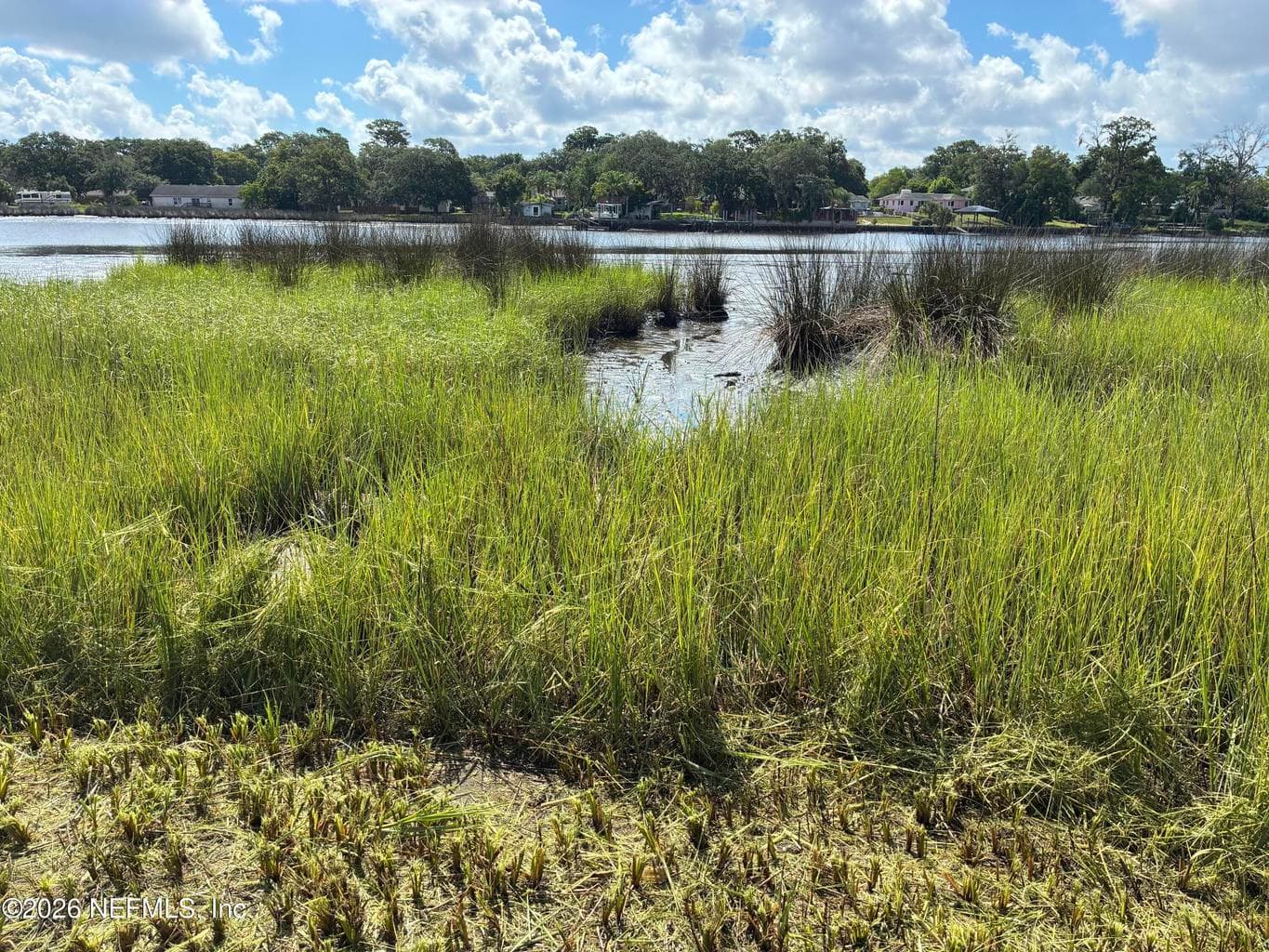 8647 MADISON Avenue, Jacksonville, FL 32208