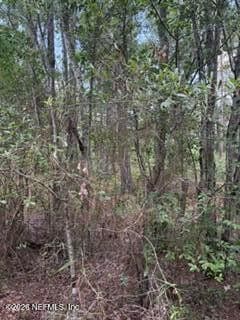 2664 NE 173RD Street NE, Starke, FL 32091, Starke, FL - photo 3