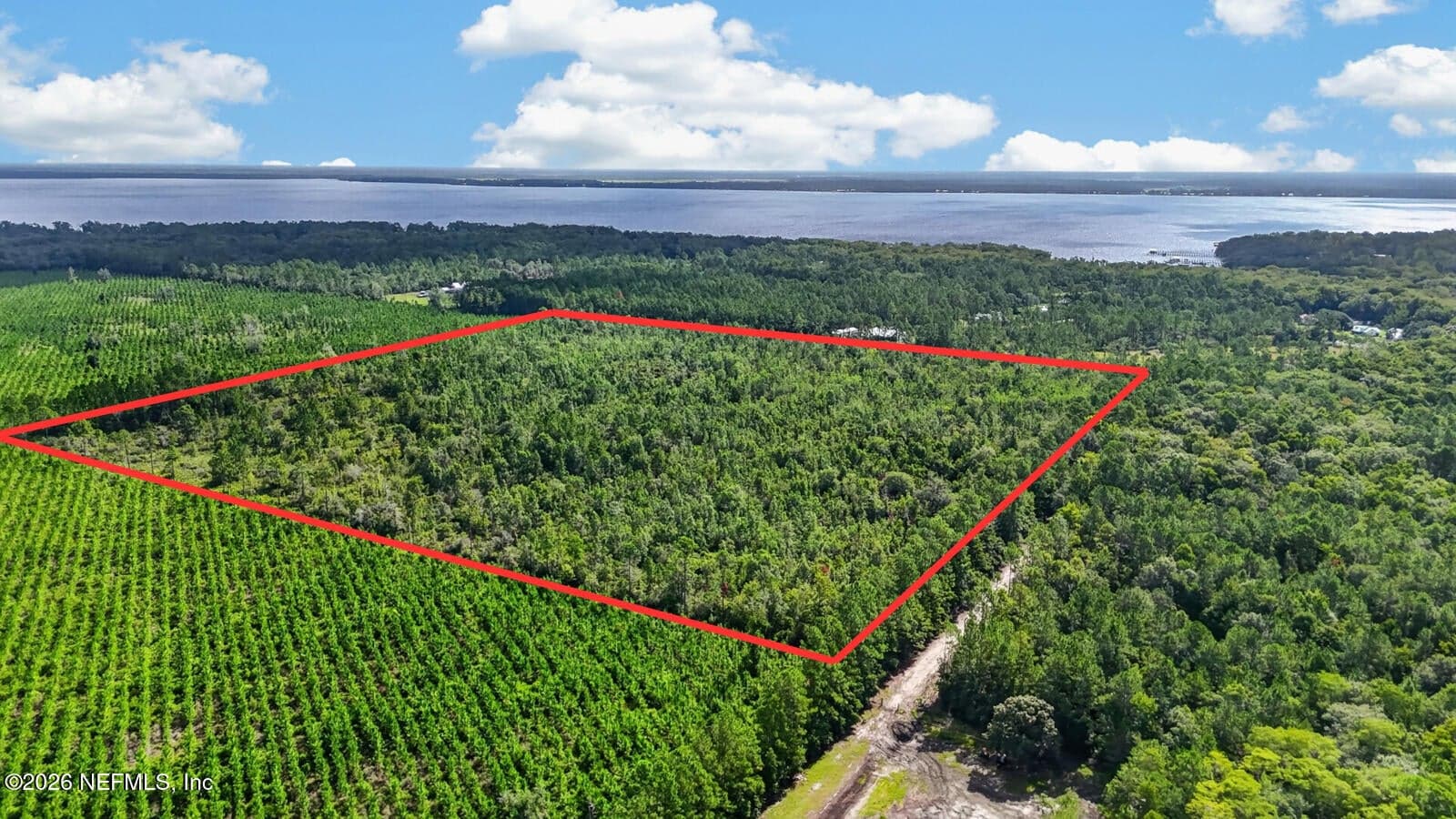120 CHAMPION Road, Palatka, FL 32043, Palatka, FL - photo 1