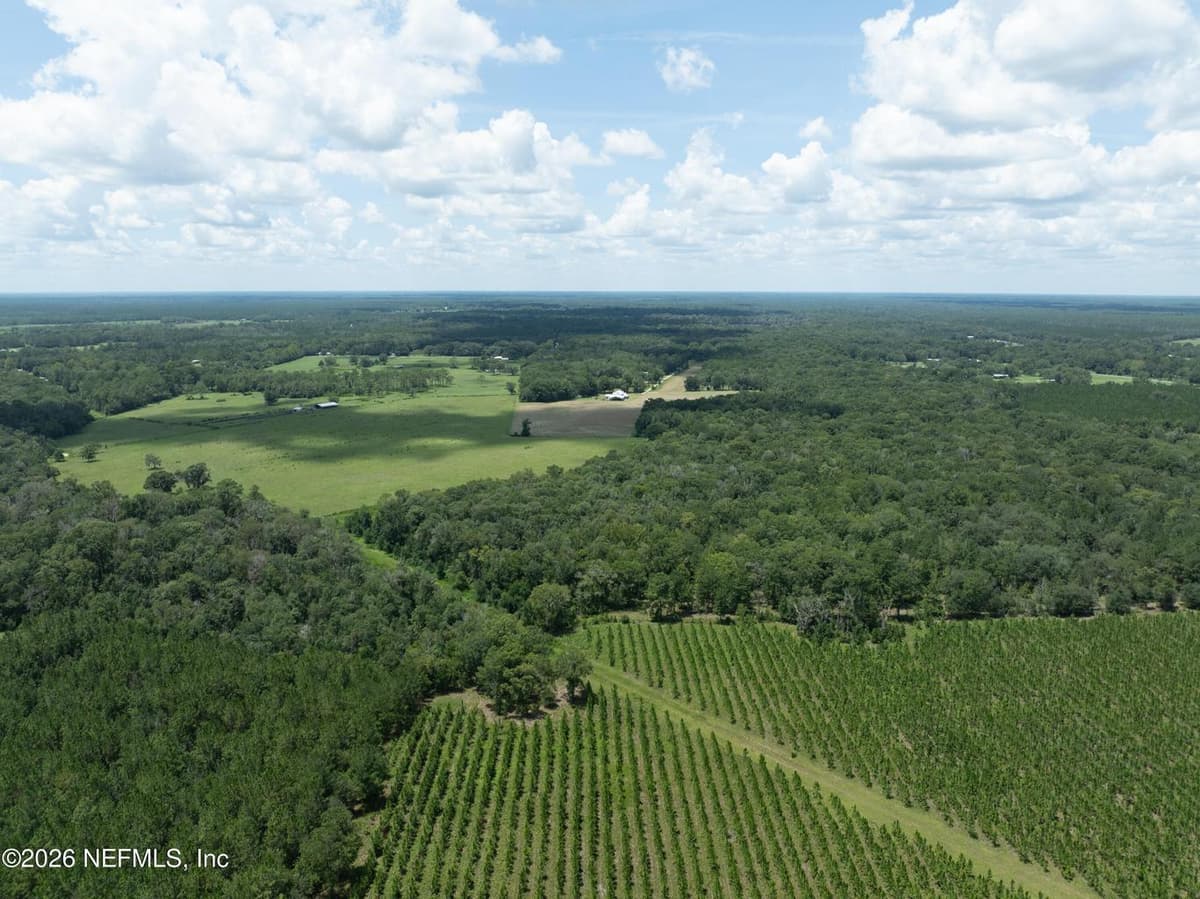 0 NW COUNTY ROAD 225, Starke, FL 32091, Starke, FL - photo 2