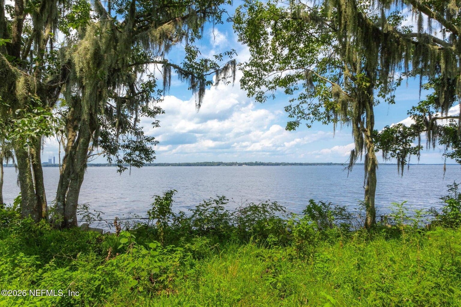 TBD MILLION Street, East Palatka, FL 32131, East Palatka, FL - photo 1