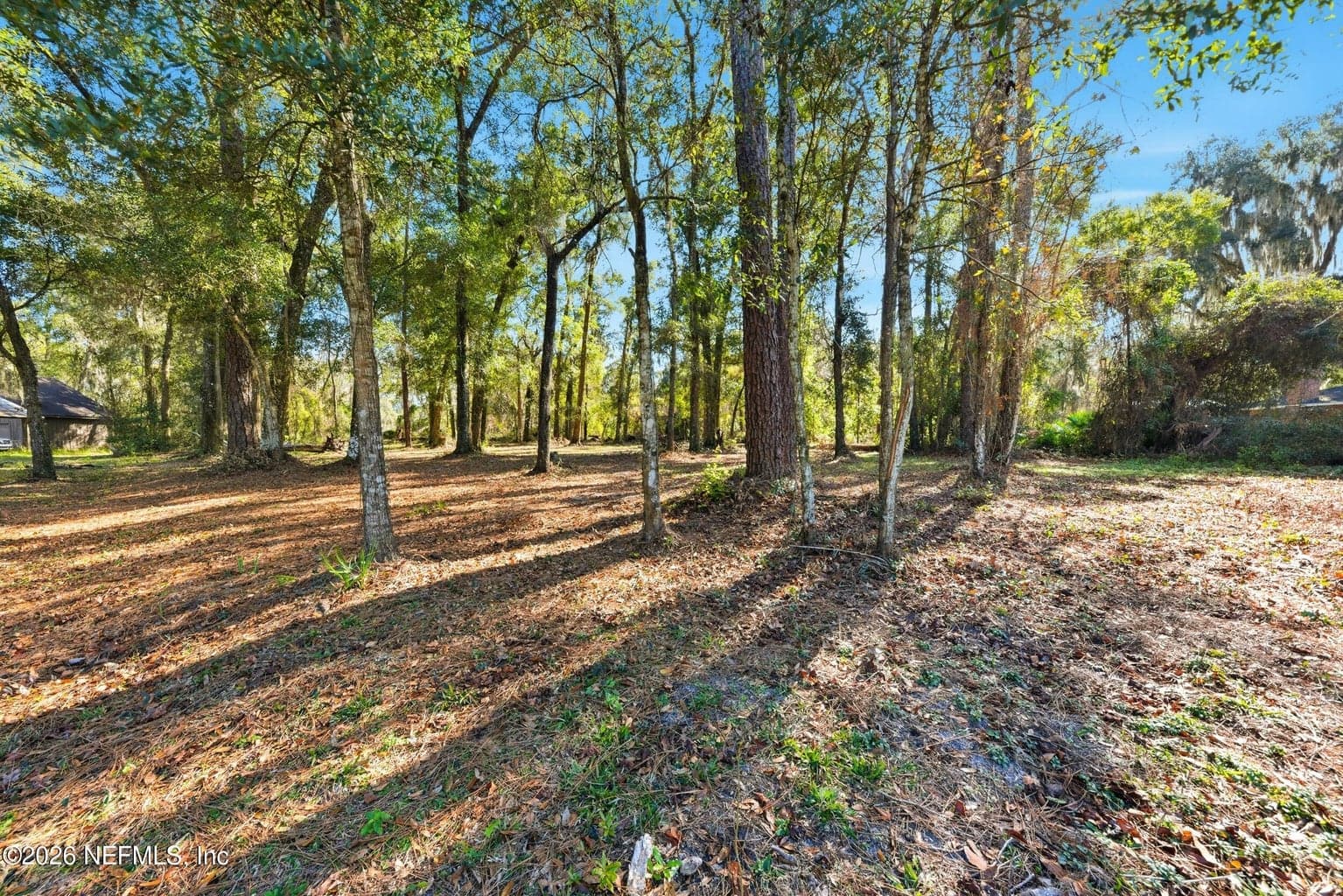 0 PAGES DAIRY Road, Yulee, FL 32097, Yulee, FL - photo 1