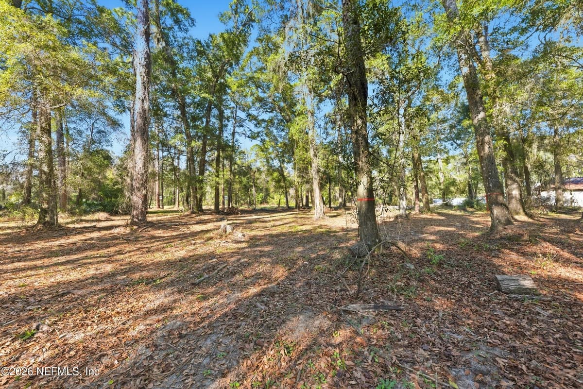 0 PAGES DAIRY Road, Yulee, FL 32097, Yulee, FL - photo 2
