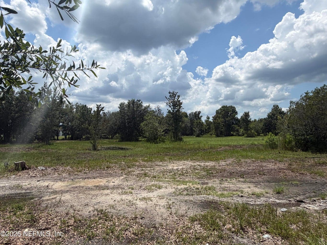 TBD DAYFLOWER Boulevard, Wesley Chapel, FL 33544, Wesley Chapel, FL - photo 1